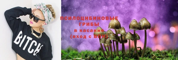 спайс Алексеевка
