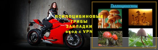 герыч Алексин