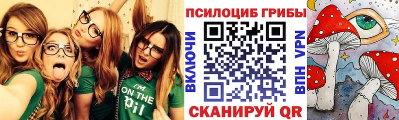 Галлюциногенные грибы Psilocybe Каменногорск