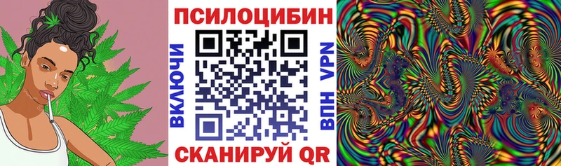 наркотики  KRAKEN зеркало  Галлюциногенные грибы GOLDEN TEACHER  Каменногорск 